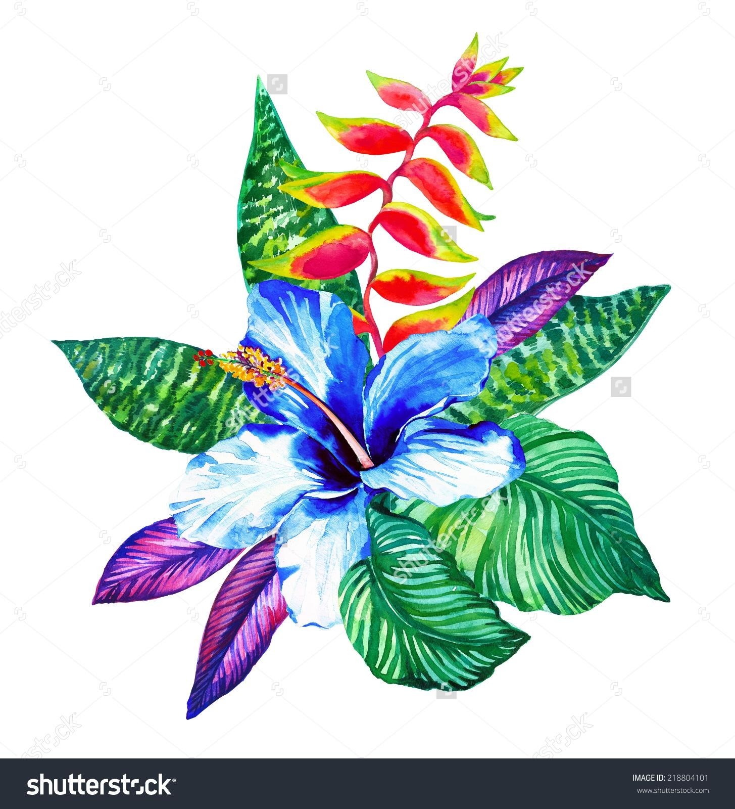 35+ Trends For Tropical Flower Drawing | The Campbells Possibilities