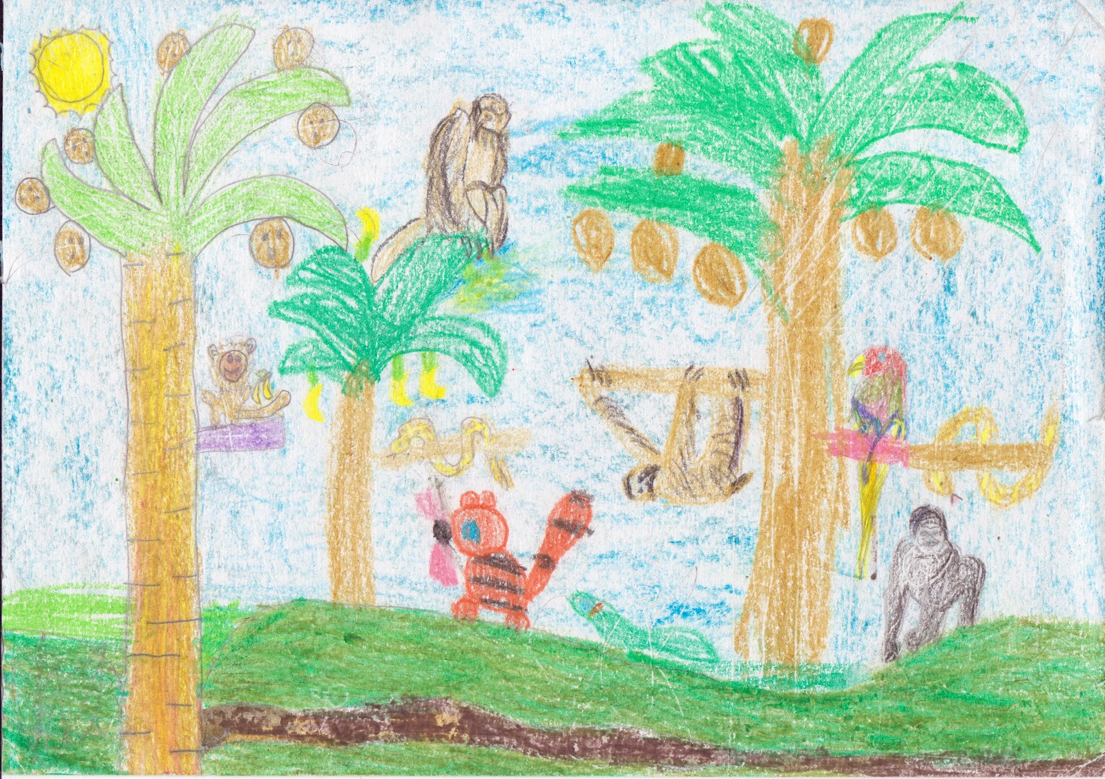 Tropical Rainforest Drawing at GetDrawings Free download