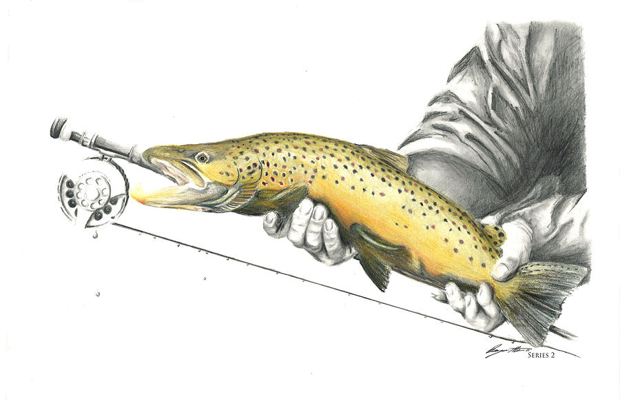 Trout Drawing at GetDrawings | Free download