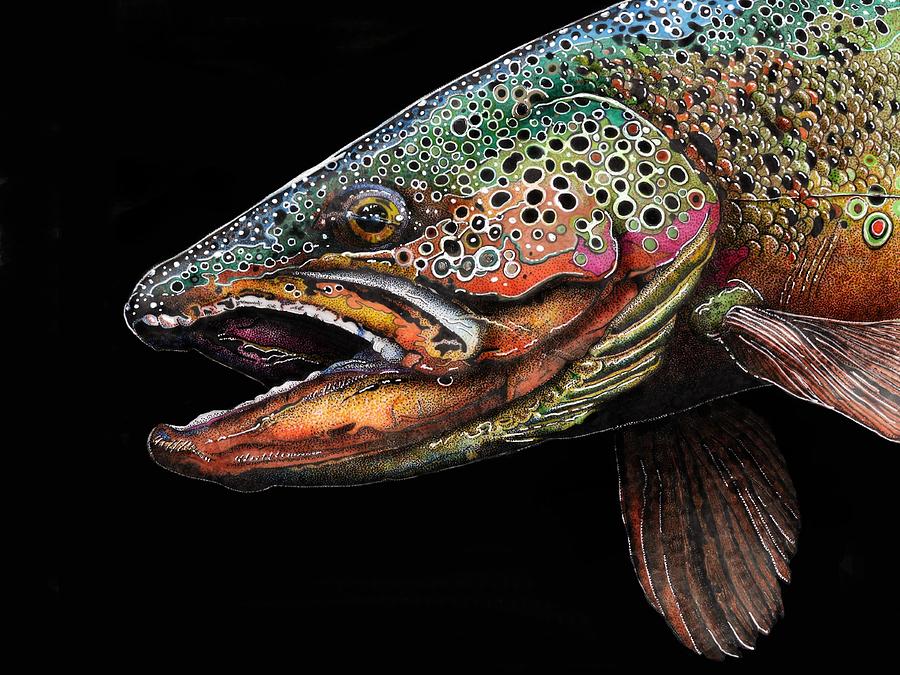 Trout Drawing at GetDrawings | Free download