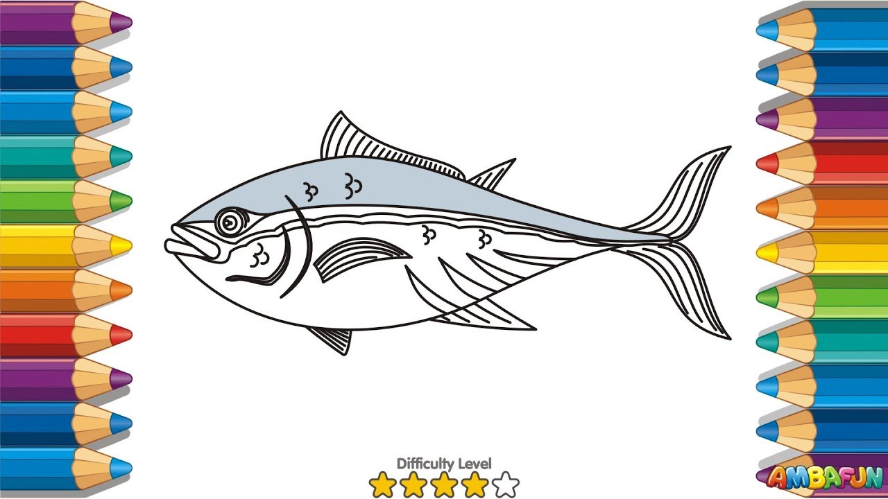 Tuna Fish Drawing at GetDrawings | Free download