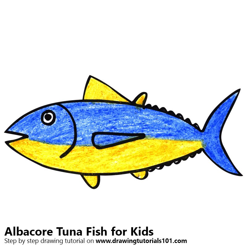 Tuna Fish Drawing at GetDrawings Free download