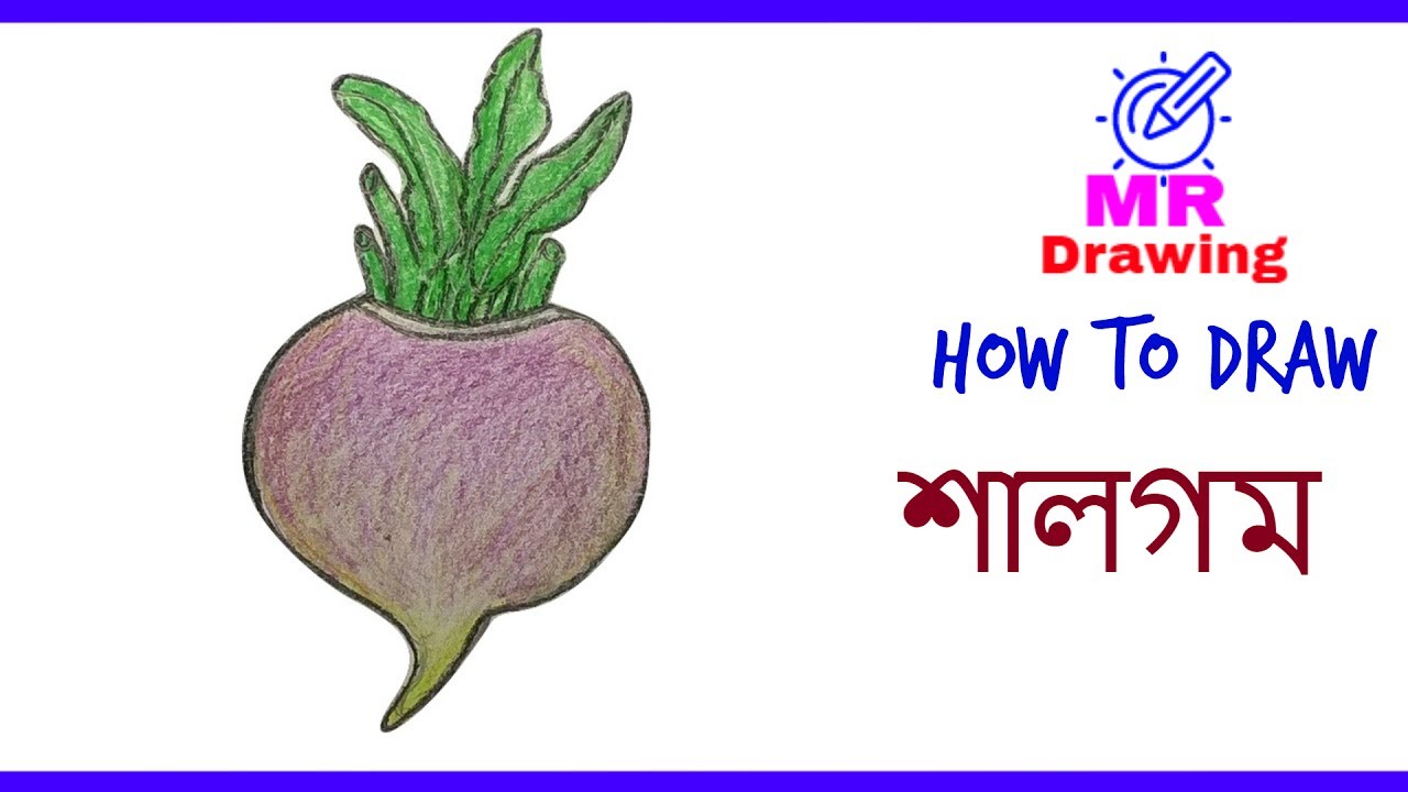 Turnip Drawing at GetDrawings | Free download