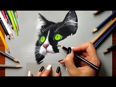 Tuxedo Cat Drawing at GetDrawings | Free download