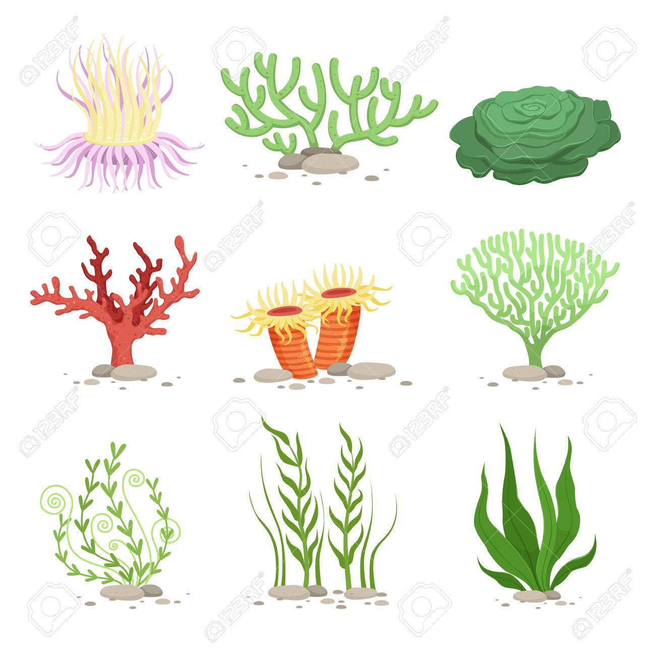 Underwater Plants Drawing at GetDrawings | Free download