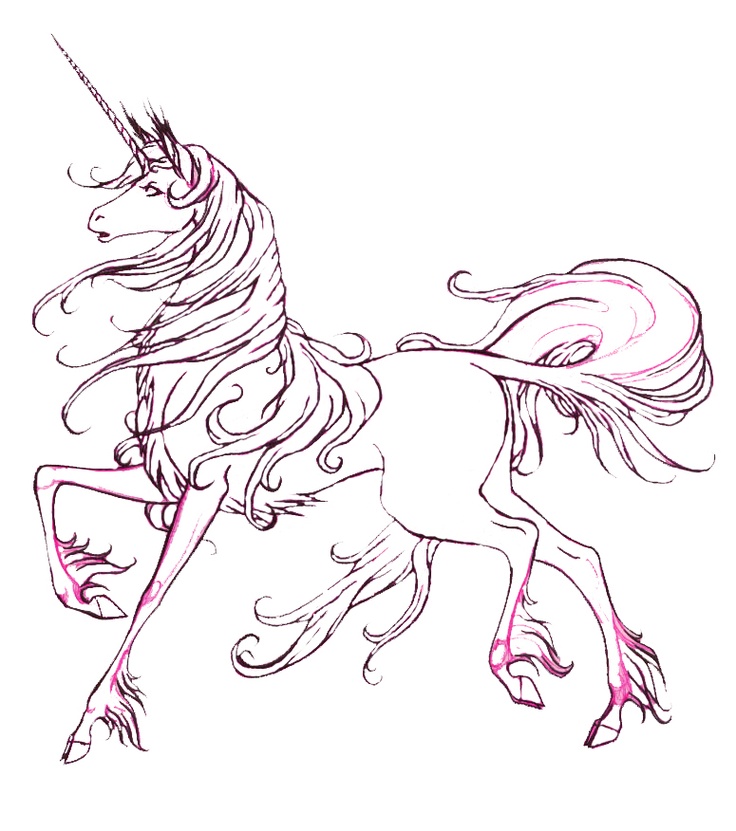 Unicorn Drawing Pages at GetDrawings Free download