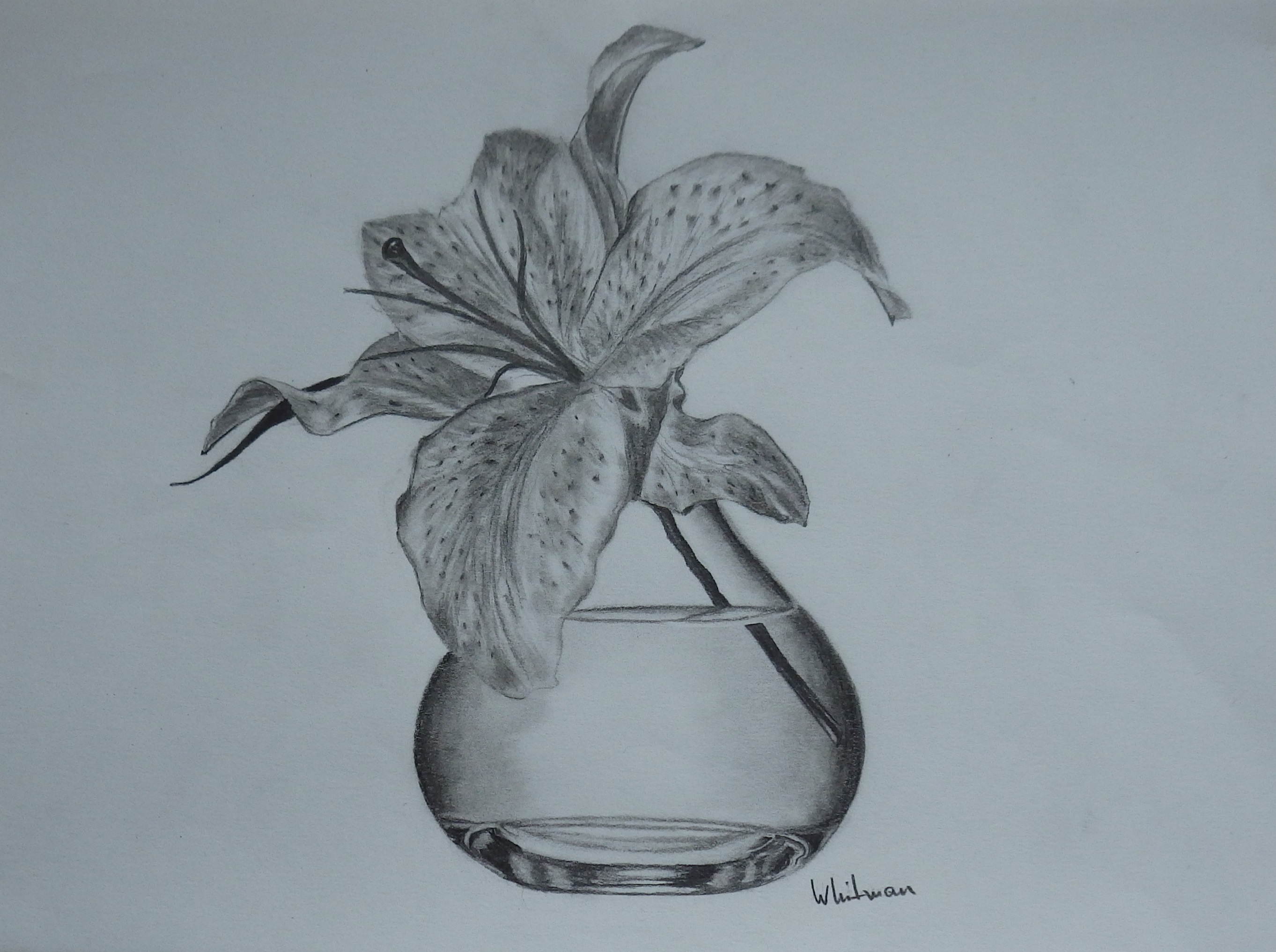 Vase With Flower Drawing at GetDrawings | Free download