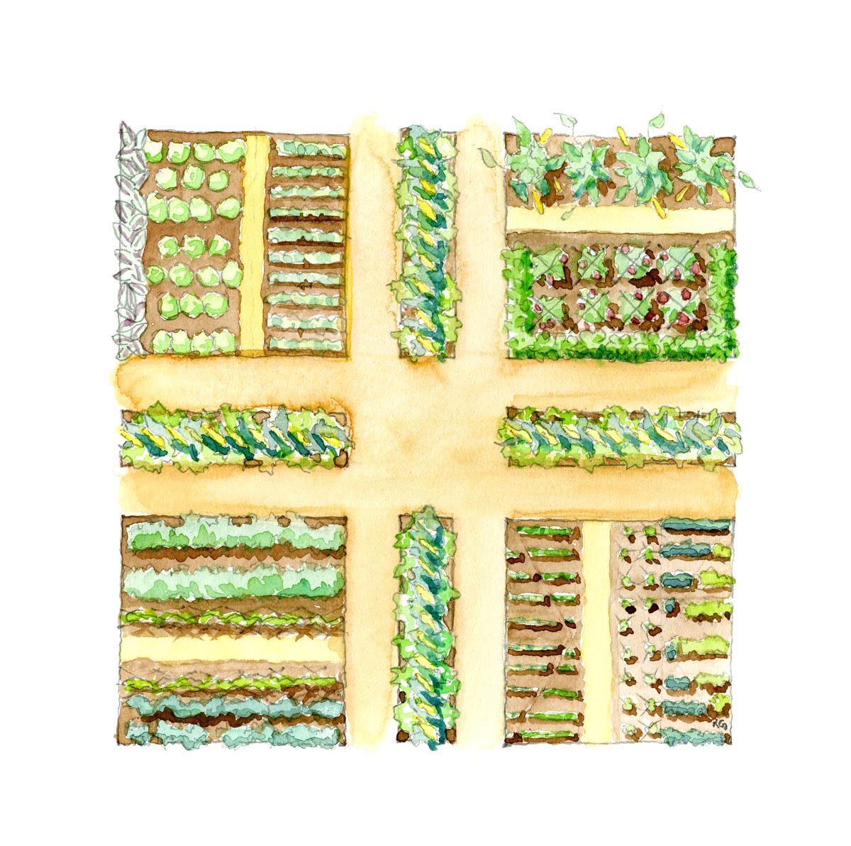 Vegetable Garden Drawing at GetDrawings | Free download
