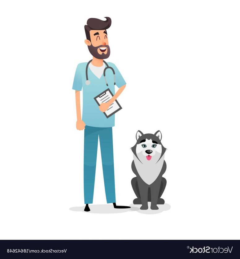 Vet Drawing at GetDrawings | Free download