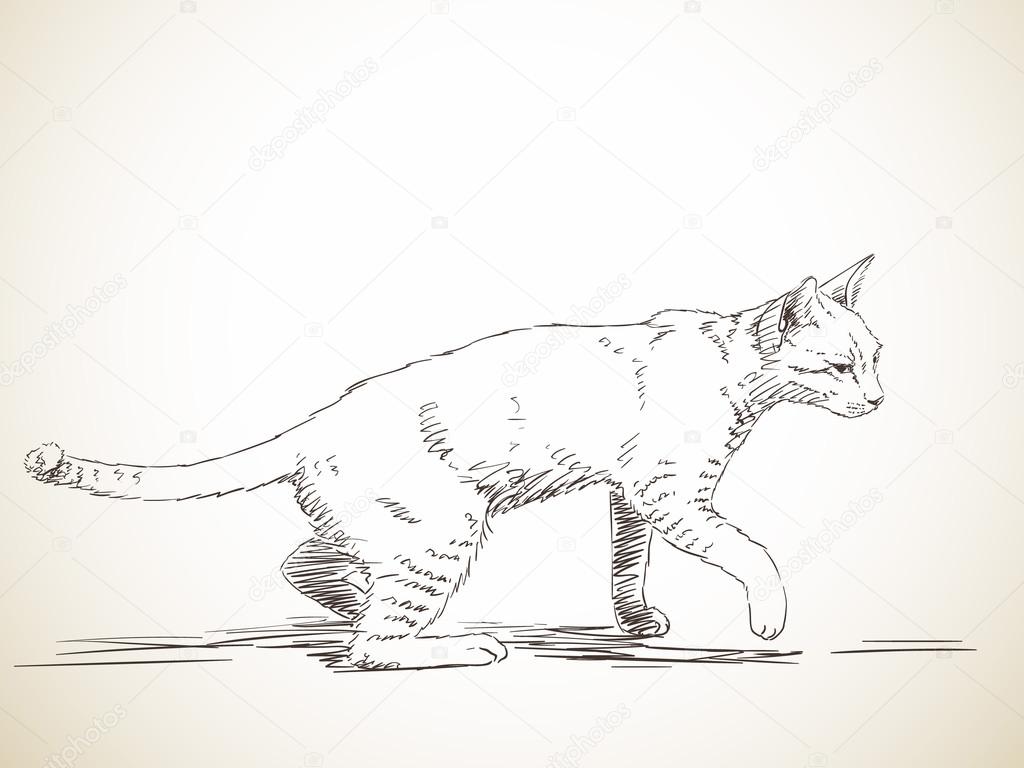 Walking Cat Drawing at GetDrawings Free download