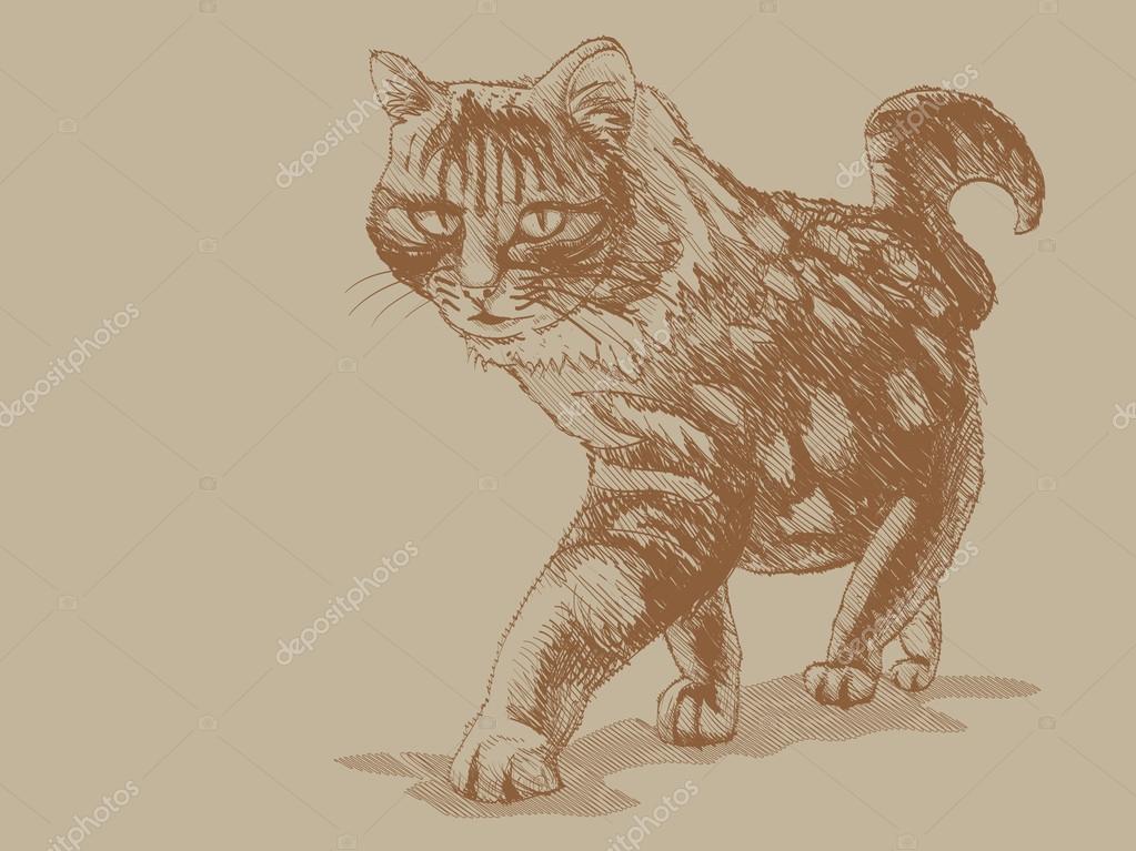 Walking Cat Drawing at GetDrawings Free download