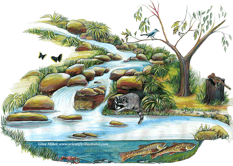 Water Stream Drawing at GetDrawings Free download