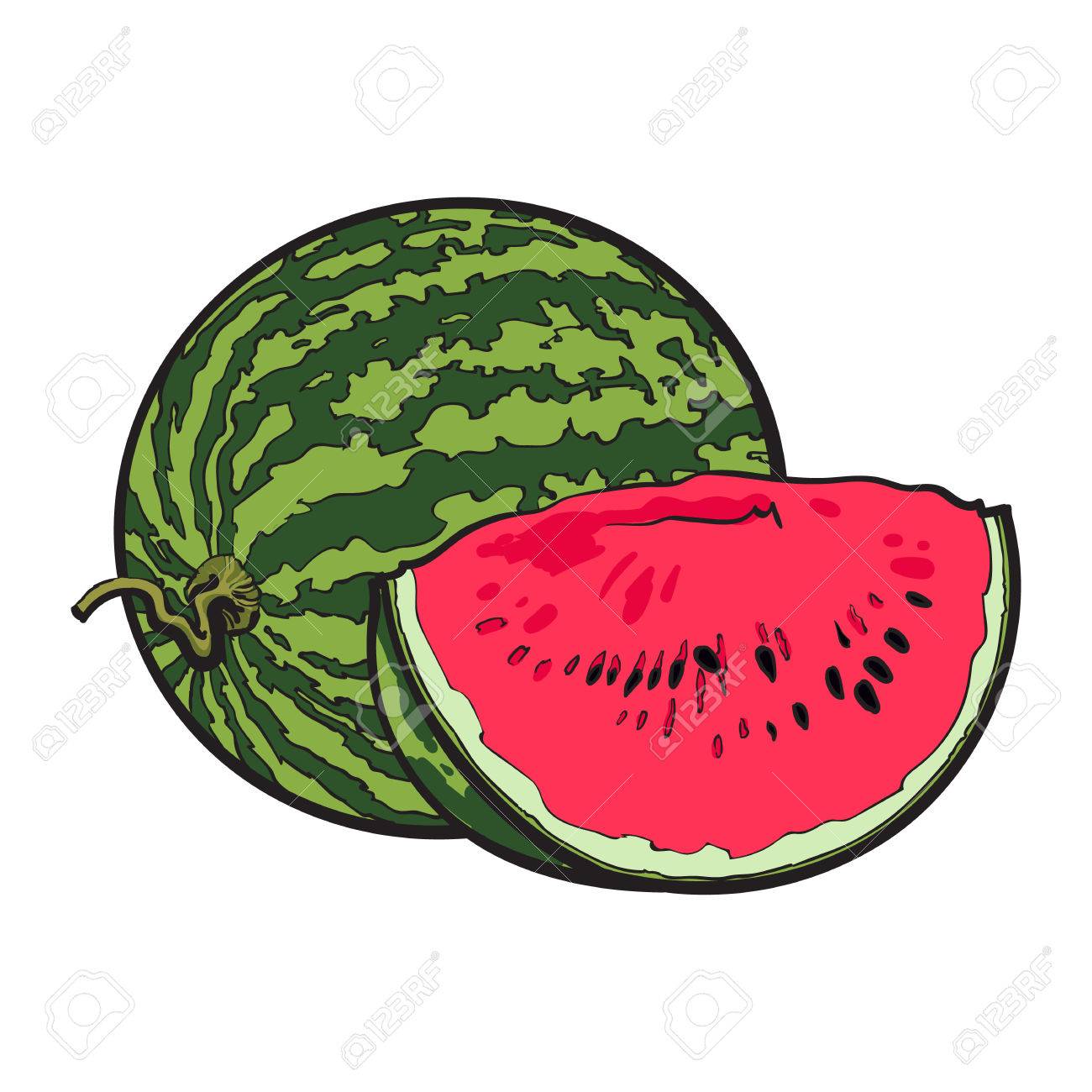 Watermelon Drawing at GetDrawings | Free download