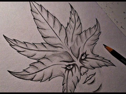 Pencil Weed Drawing Ideas / Drawing Ideas : Sometimes a new medium is