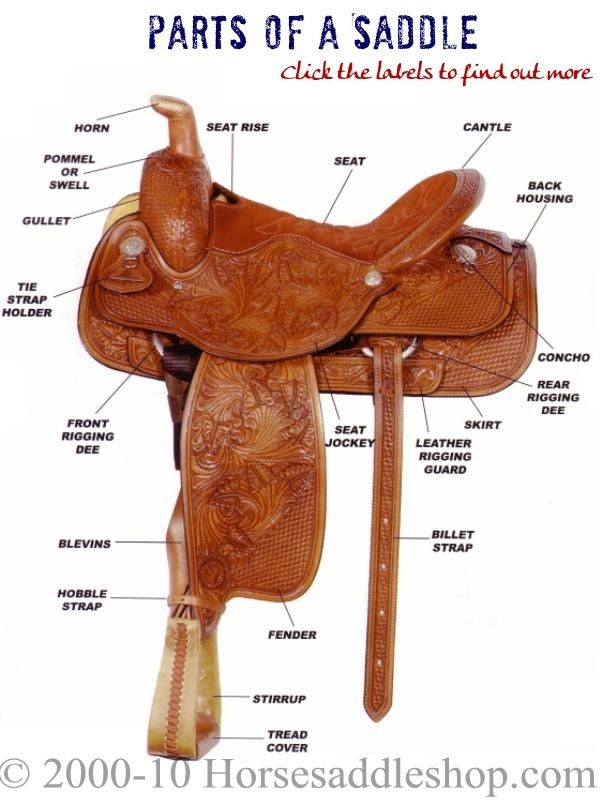 western-saddle-drawing-at-getdrawings-free-download