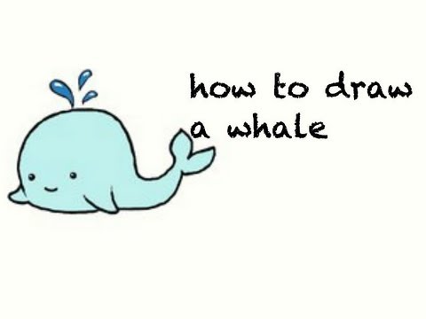 Whale Drawing Cute at GetDrawings | Free download