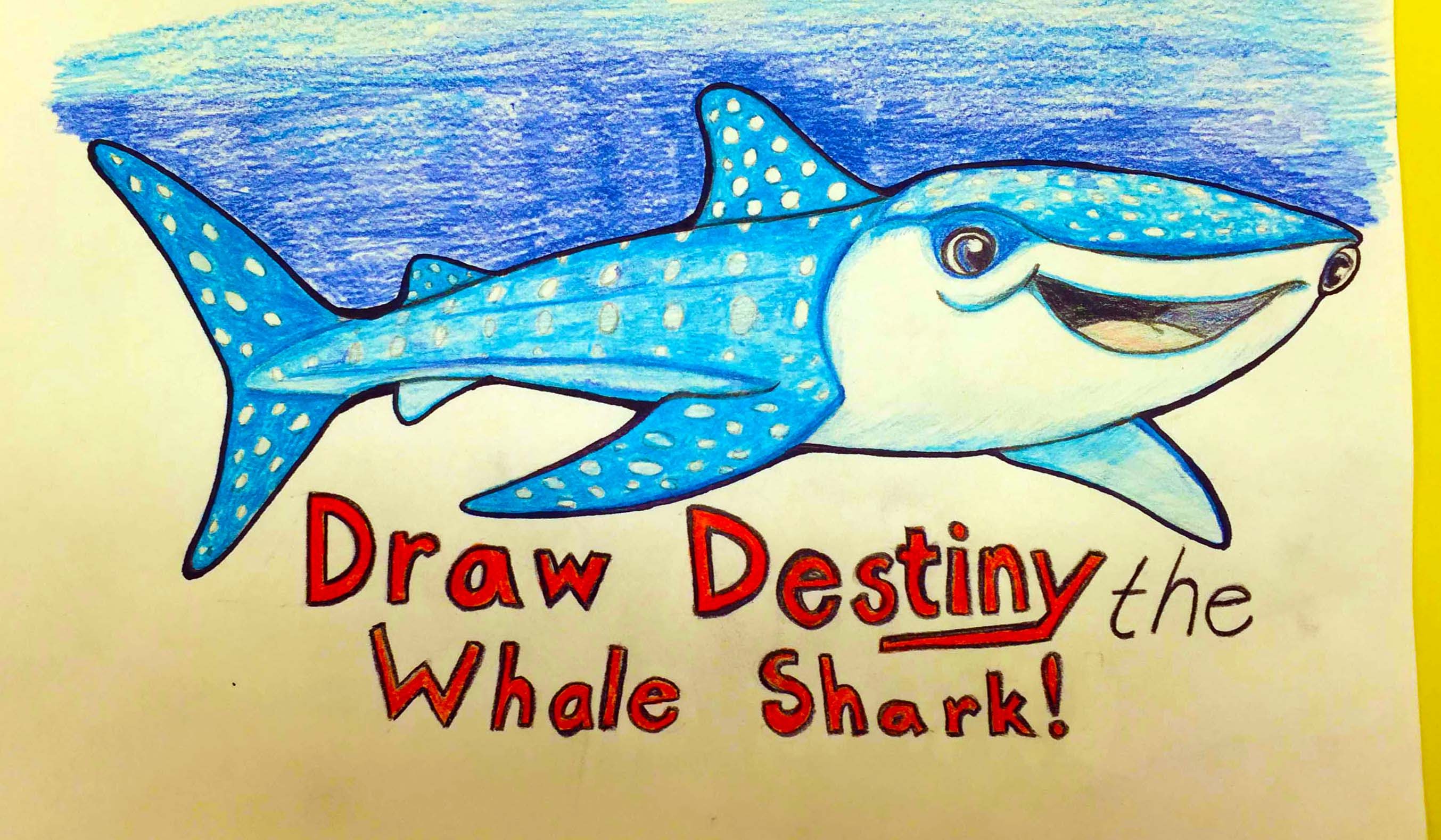 Рисунок китовой акулы для срисовки