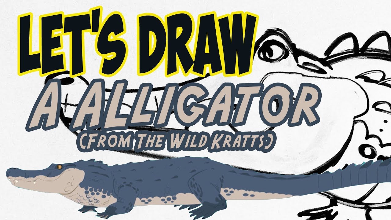 1280x720 Drawing A Alligator From Wild Kratts With Basic Shapes And Lines.