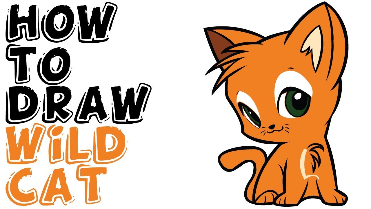 Best How To Draw A Wildcat in 2023 Check it out now 