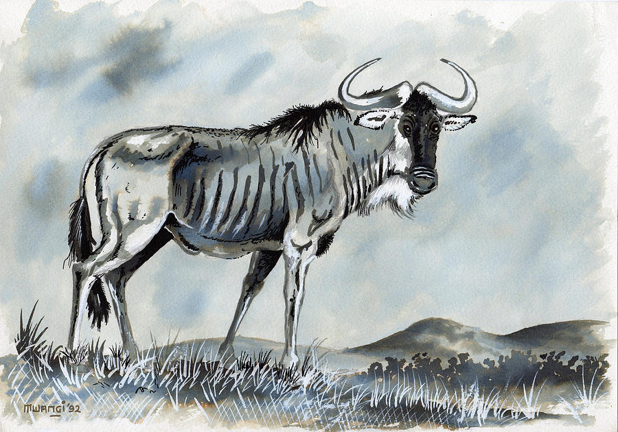 Wildebeest Drawing at GetDrawings Free download