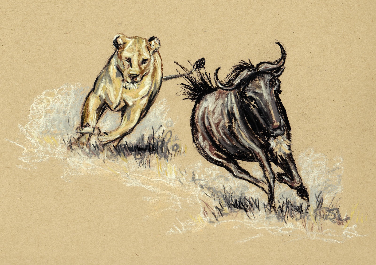 Wildebeest Drawing at GetDrawings Free download