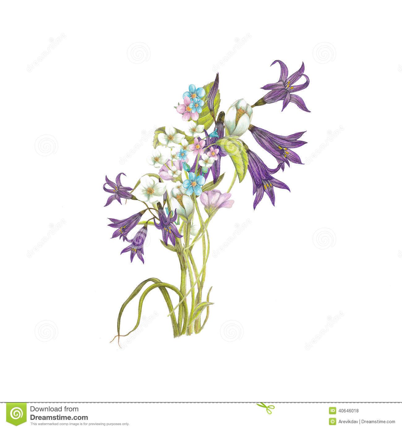 Wildflower Bouquet Drawing at GetDrawings | Free download