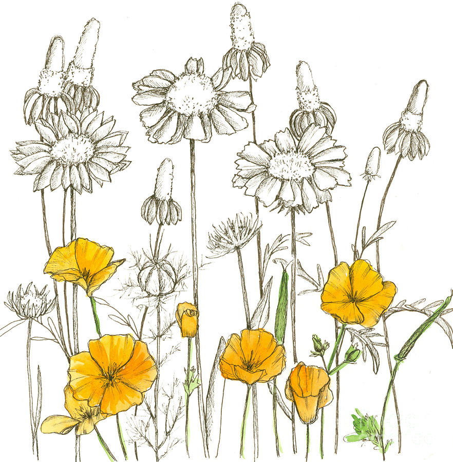 Easy Wildflower Drawing Sketch with Realistic