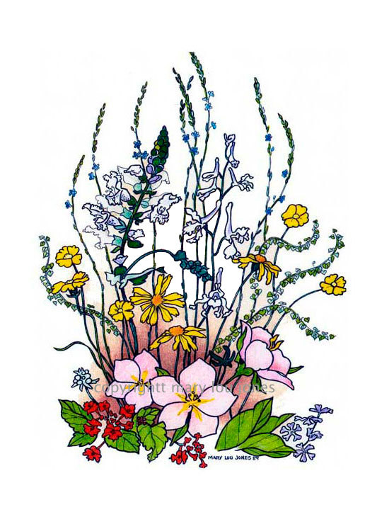 Wildflower Drawing at GetDrawings Free download