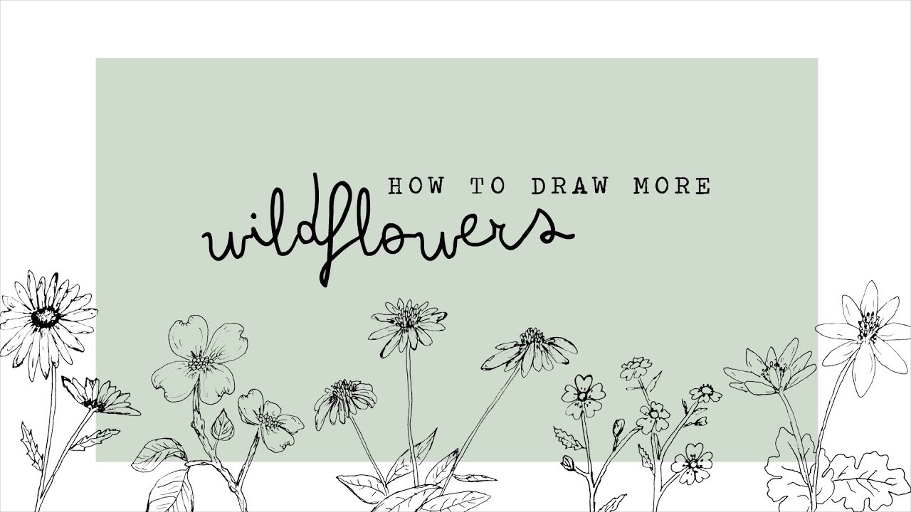 Wildflower Drawing At Getdrawings Free Download 