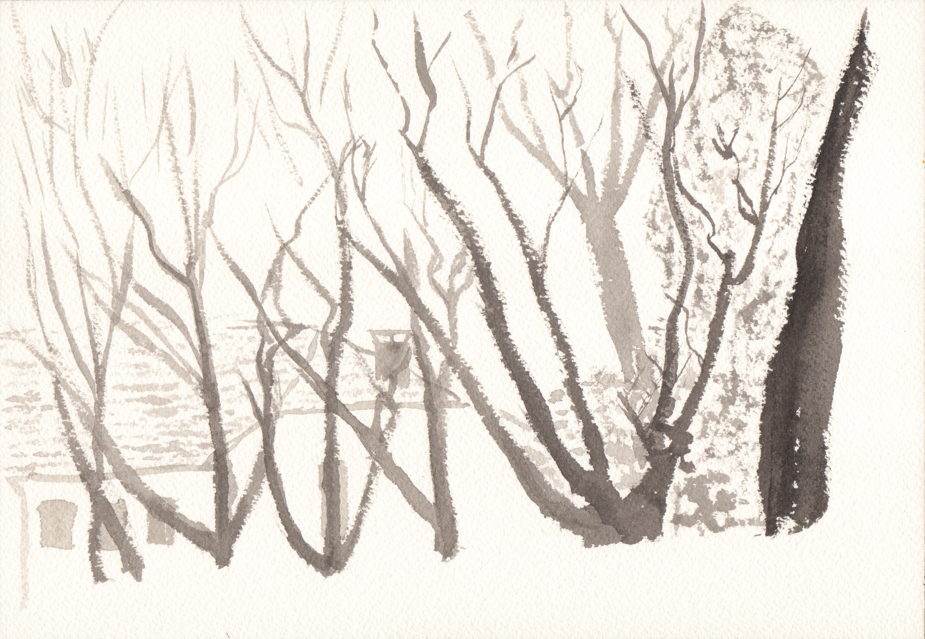 Winter Tree Drawing at GetDrawings | Free download