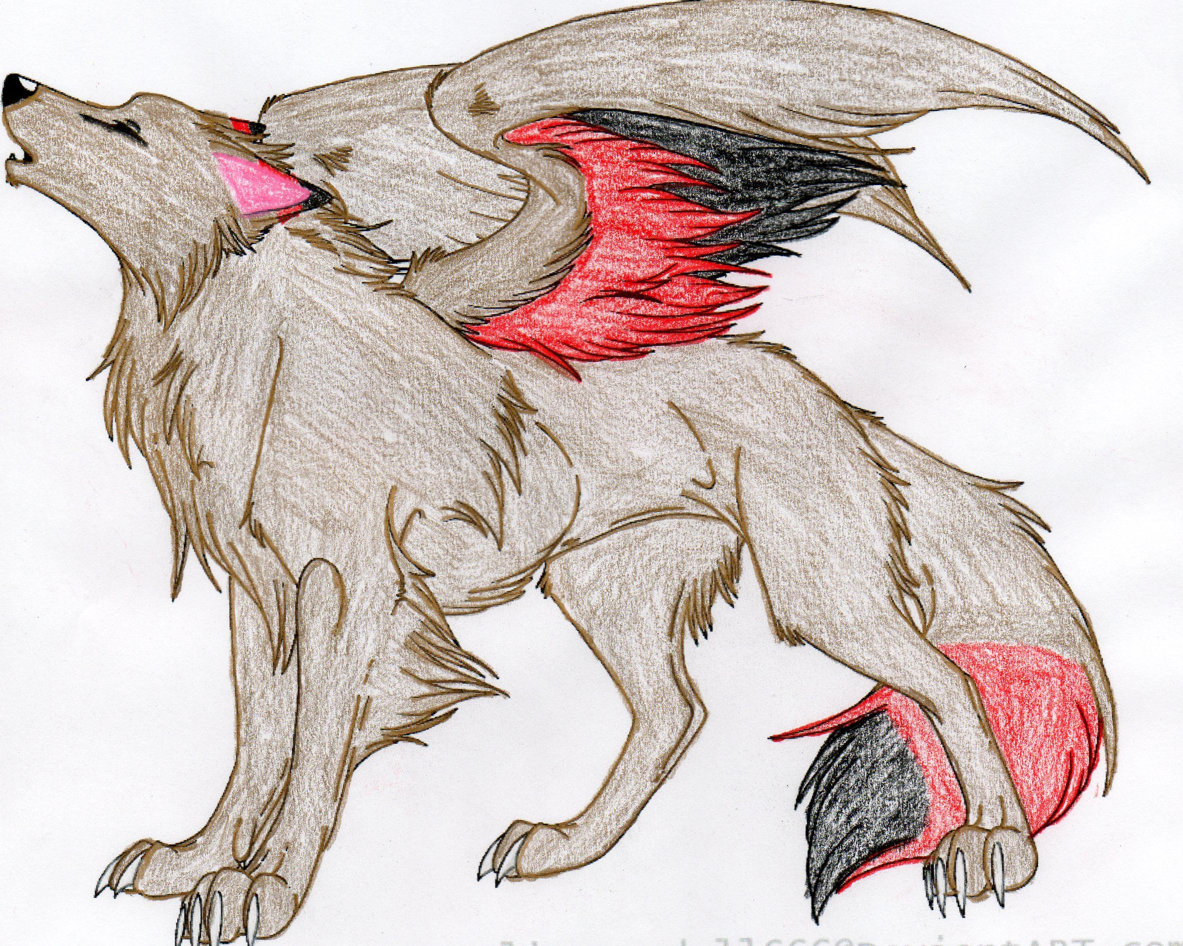 Wolf Drawing With Wings at GetDrawings | Free download