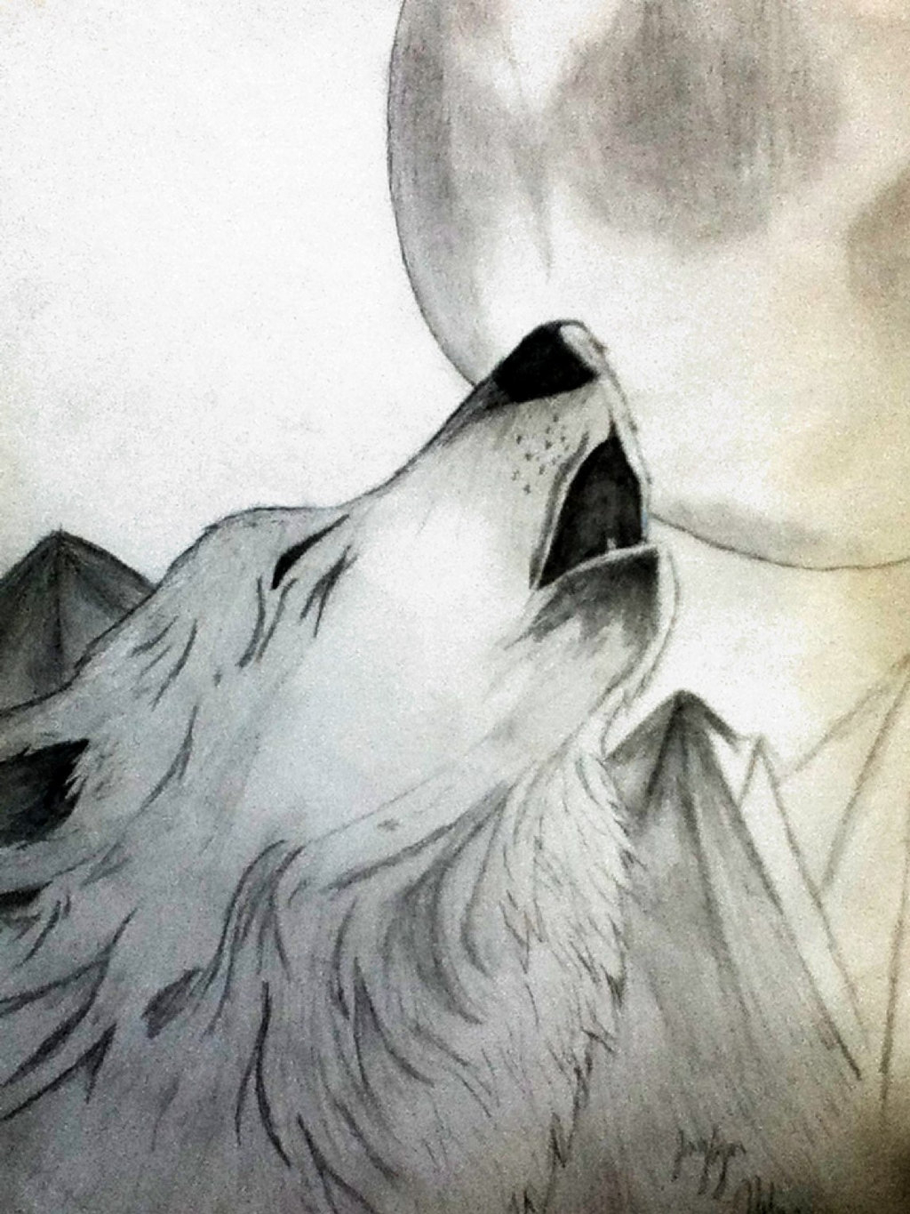 Грустный волк карандашом