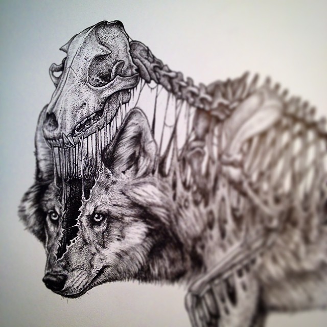 Wolf Skeleton Drawing at GetDrawings Free download