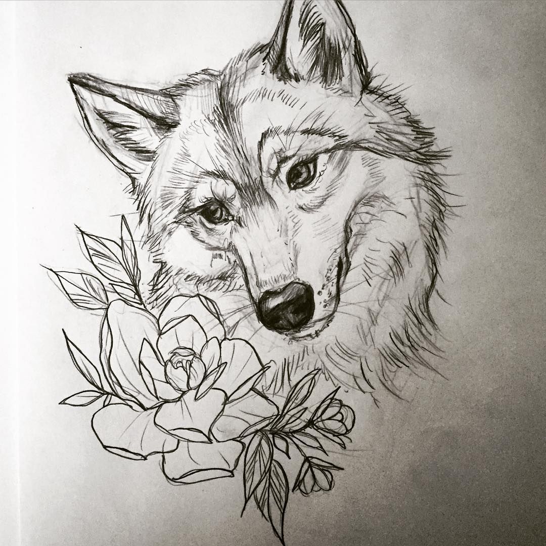 wolf drawing