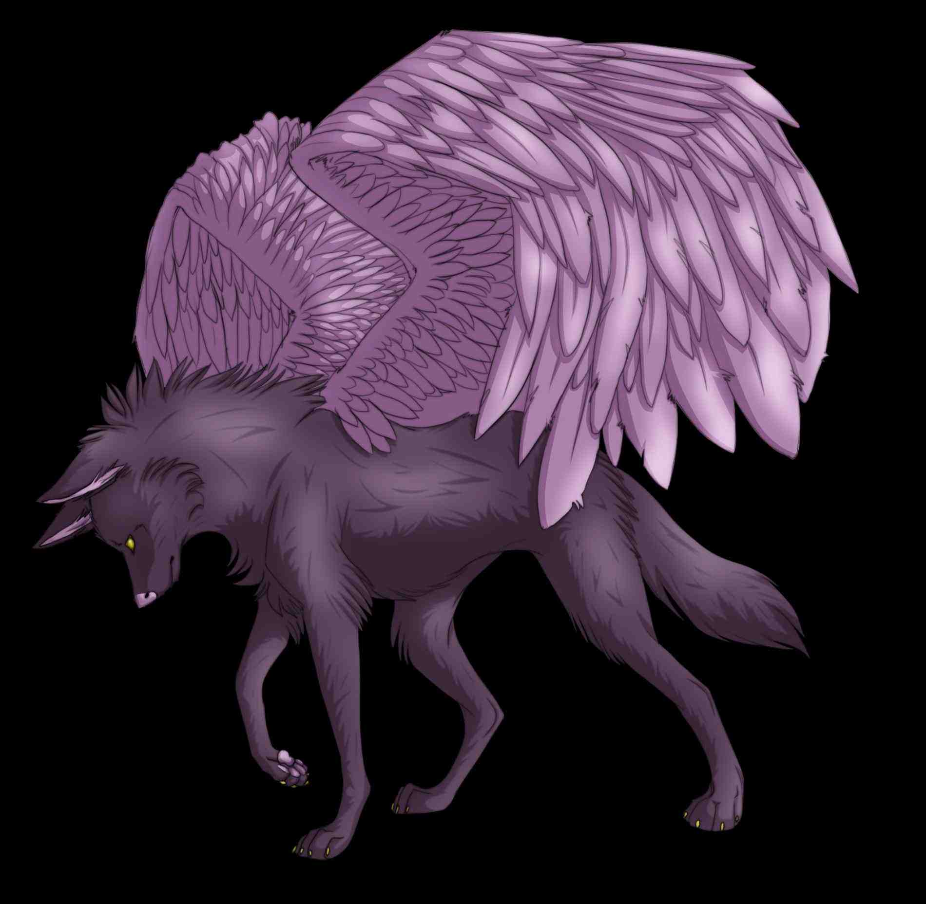 Wolves With Wings Drawing at GetDrawings Free download