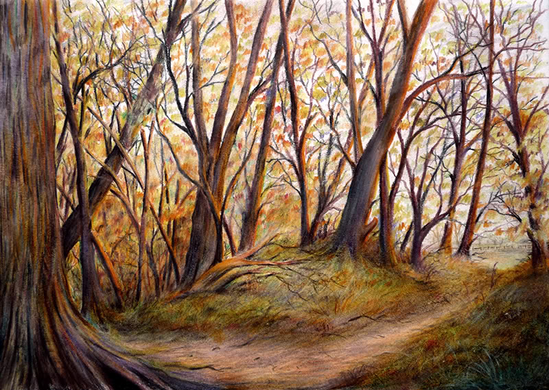 Woodland Drawing at GetDrawings Free download