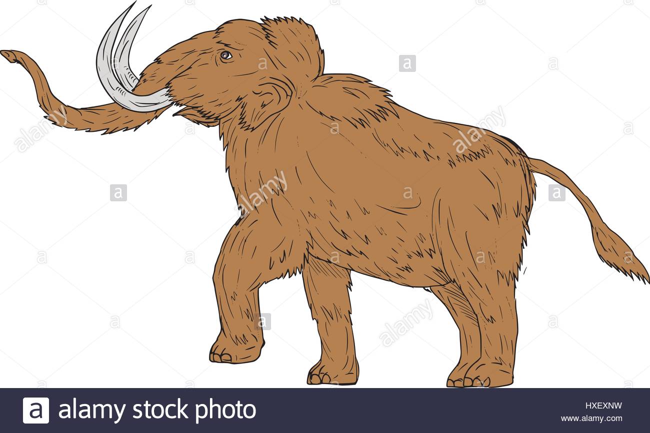 Wooly Mammoth Drawing at GetDrawings | Free download