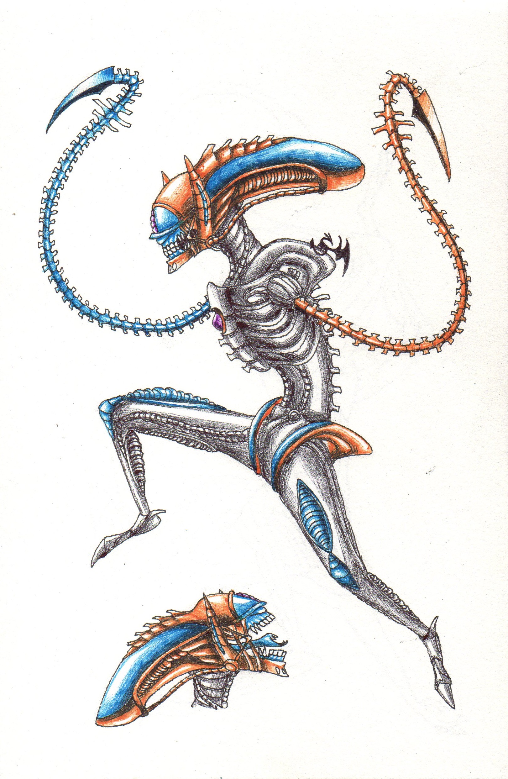 Xenomorph Drawing at GetDrawings | Free download