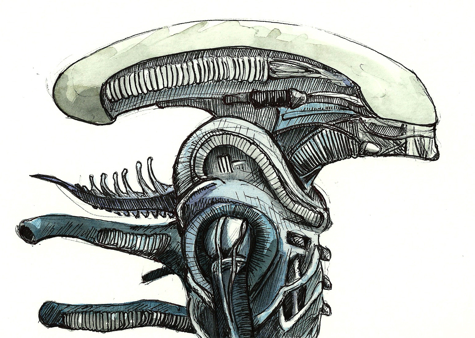 Xenomorph Drawing at GetDrawings Free download