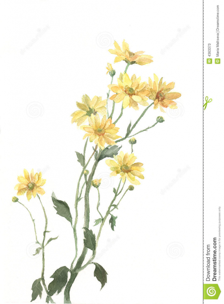 Yellow Flower Drawing at GetDrawings Free download