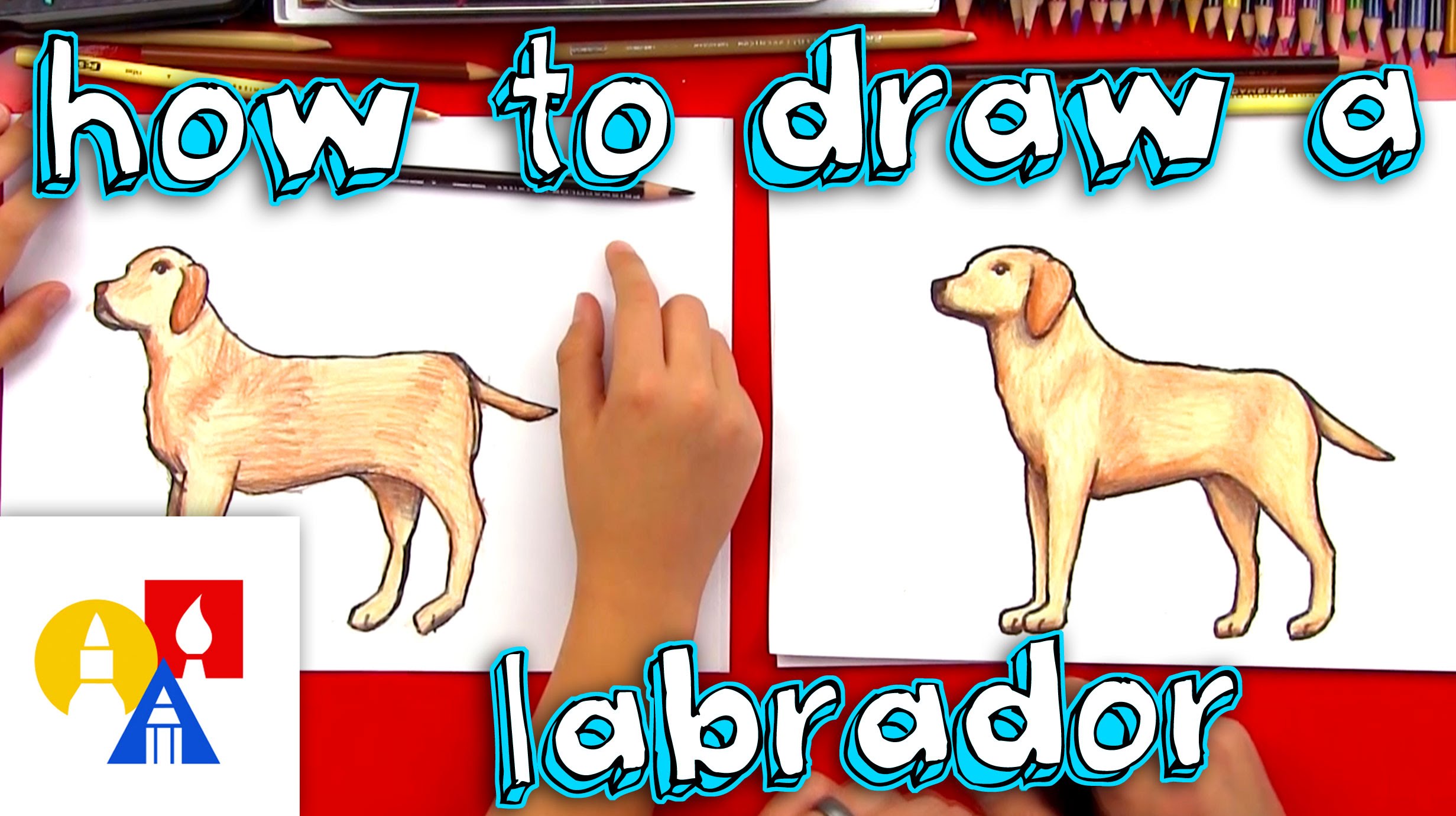  How To Draw A Lab of all time Learn more here 