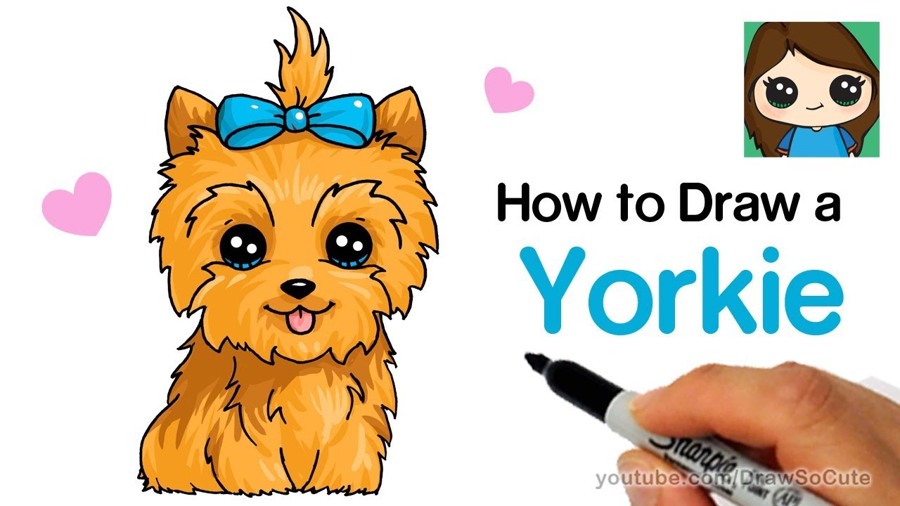 Yorkie Cartoon Drawing at GetDrawings | Free download