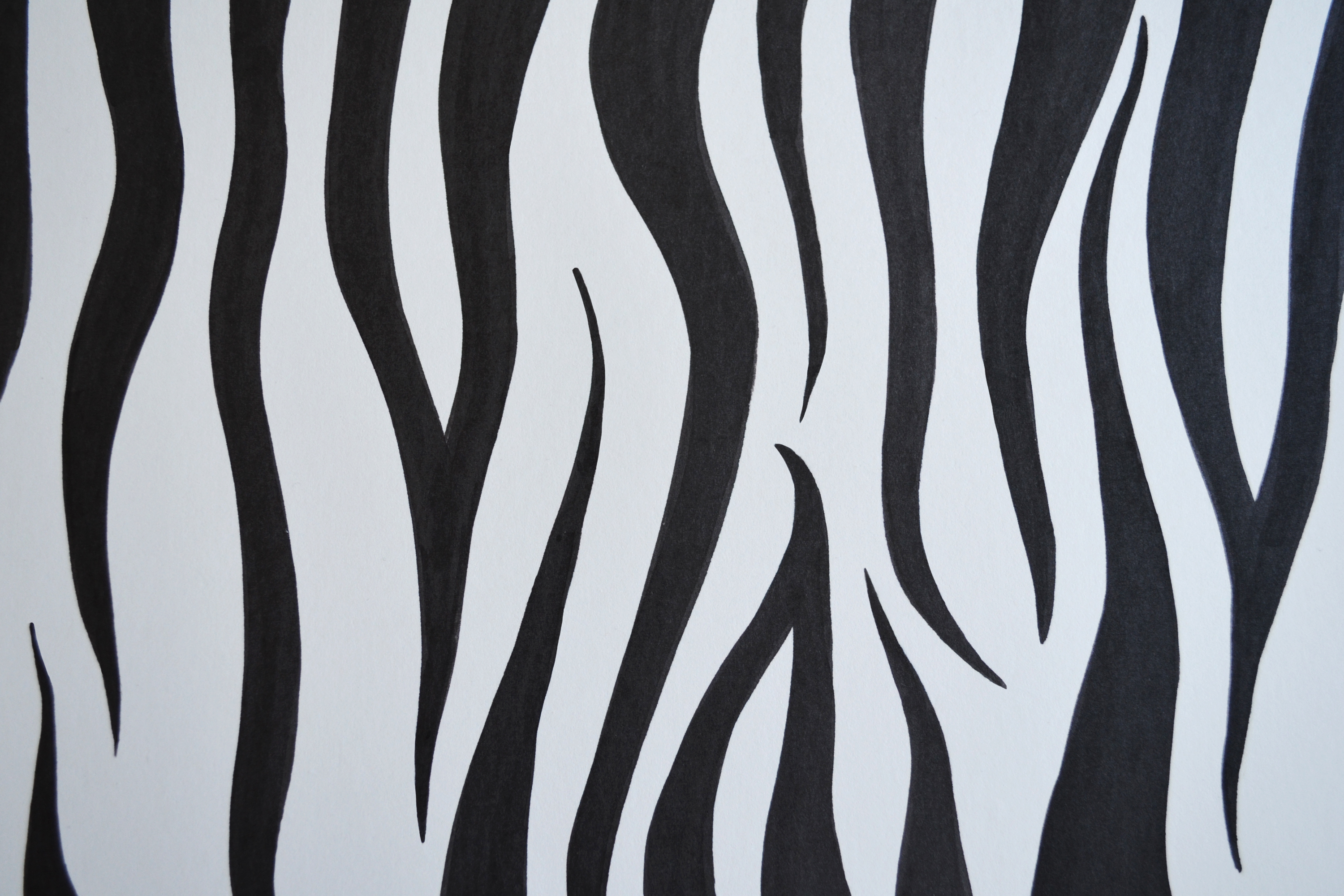 Zebra Print Drawing at GetDrawings Free download