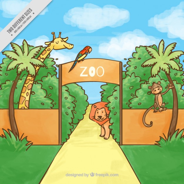 Zoo Cartoon Drawing at GetDrawings Free download