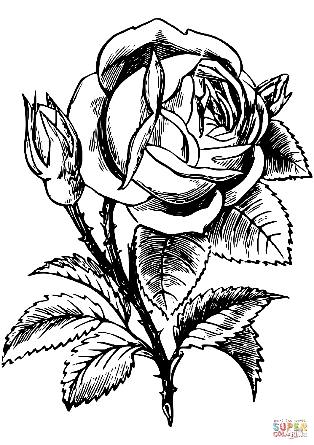 2 Roses Drawing at GetDrawings | Free download