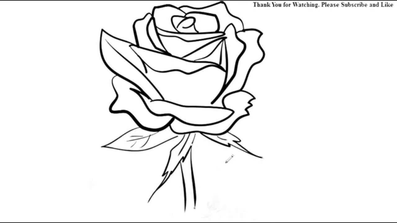 Pencil Sketch Rose Flower Drawing Easy - Denue Voconesto