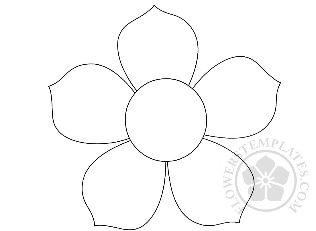 Flowers With 5 Petals Drawing