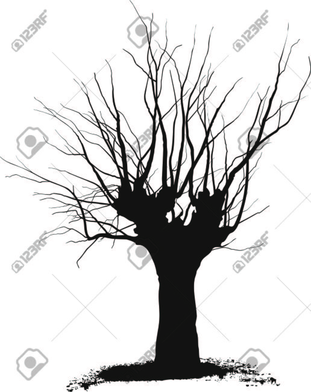 Acacia Tree Drawing at GetDrawings | Free download