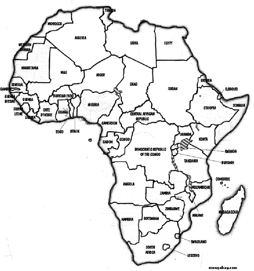 Top How To Draw The Continent Africa Step By Step in 2023 Don t miss out 