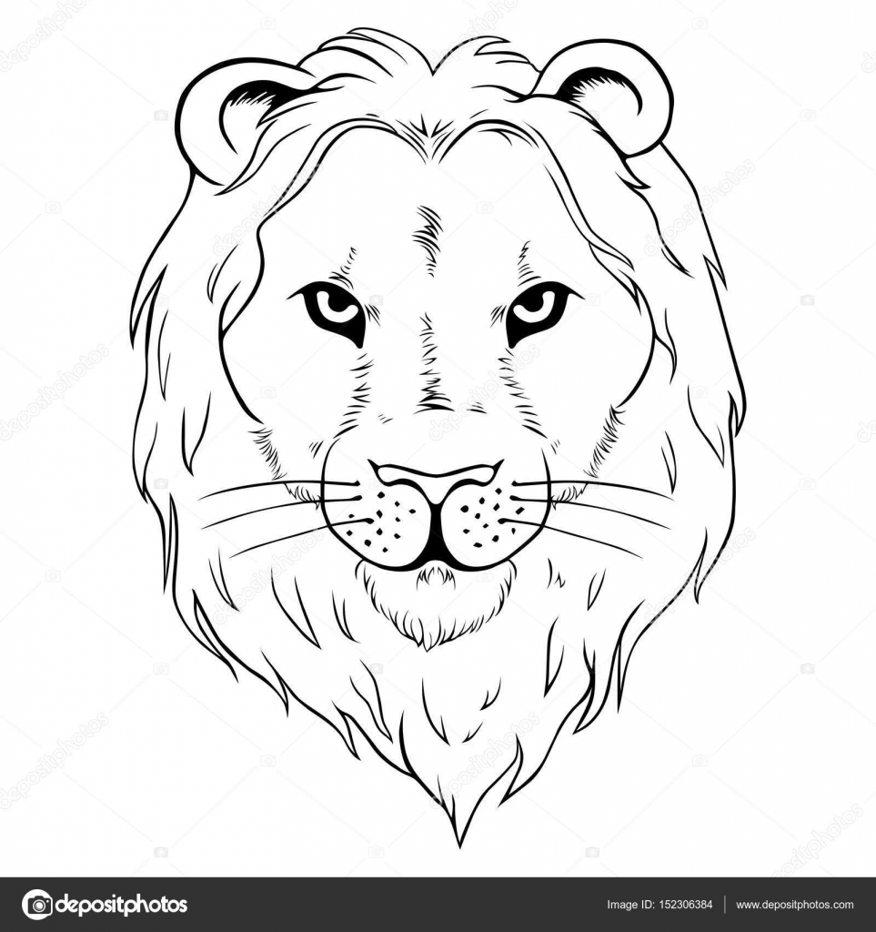 Морда Льва раскраска для детей